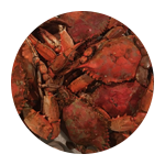 A picture of crabs on the ground in front of a green background.